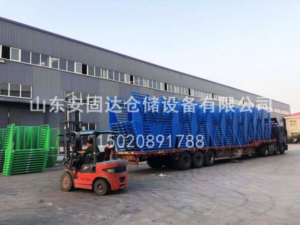 蘑菇tv官方登录入口下载
